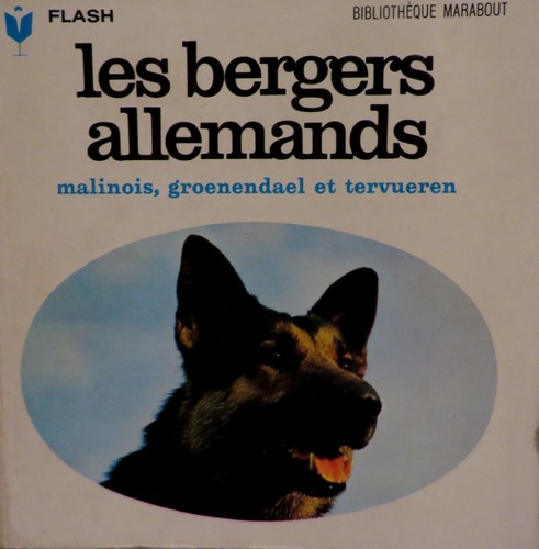 Les bergers allemands