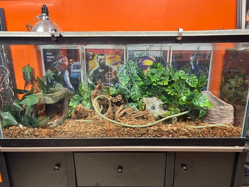 Complete aquarium setup fully - setup,