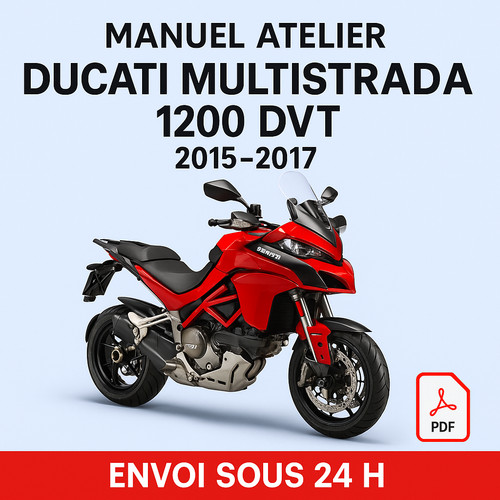 Manuel atelier ducati - manuel,