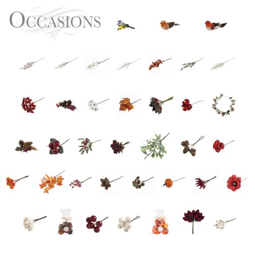 Accessoires couronne - de,