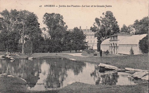 Angers garden plants the - 49,