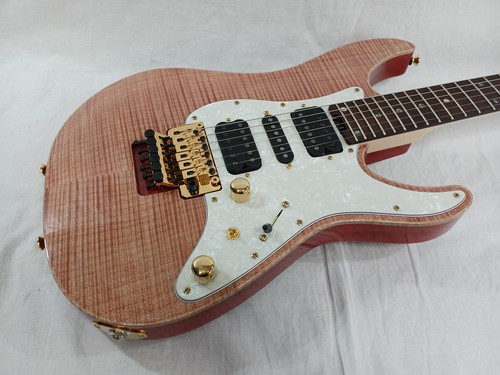 Guitare électrique schecter - guitare,
