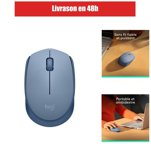 Logitech m171 souris sans fil - m171,