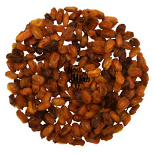 Argousier Baies Osmotiques