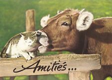 Postcard postcard 10x15cm HUMOROUS ANIMALS COW CAT COW VACA friendships