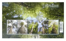 Belgique. Forêt de Soignes 2009.