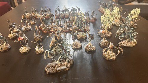 Warhammer aos painted - aos, 70