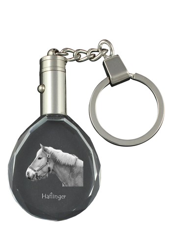 Haflinger suspendu avec - -,