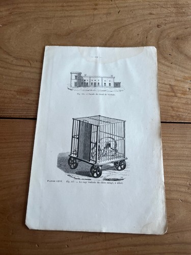 Gravure ancienne chien n60 - ancienne,