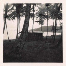 ANCIENNE PHOTO GUYANE +-1950 REGION DE L'OYAPOCK CABANE PRES DE L'EAU
