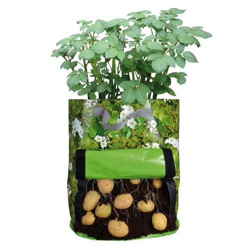 Sac cultivateur pomme - de, de
