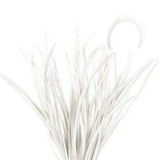 60 pièces de plumes d'oie