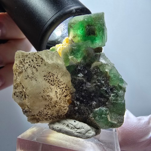 Spécimen rare fluorite - spécimen, de