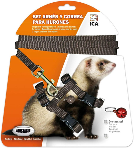 Kit harnais sangle pour - et,