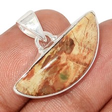 Natural Petrified Wood (Araucaria) Navajo County 925 Silver Pendant CP61763