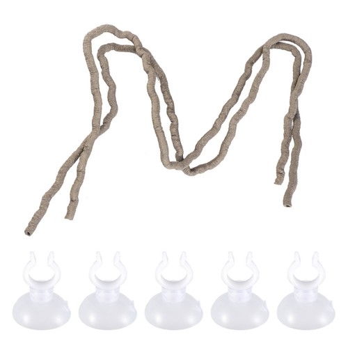 Accessoires terrarium serpent - accessoires,