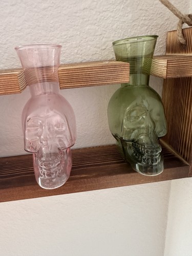 Terrarium propagation stations - propagation,