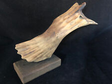 Unsigned Driftwood Sculpture Contemporary Art