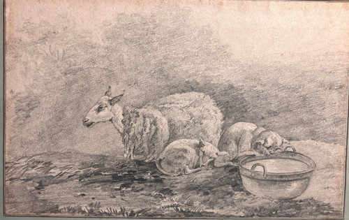 Brebis chien chat - et,