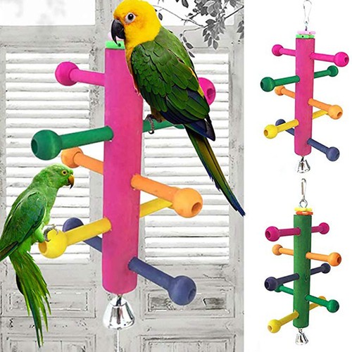 Gris gabon pour perruches - pour,