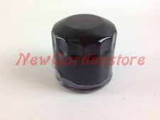 Filtre D'Huile Moteur Tondeuse