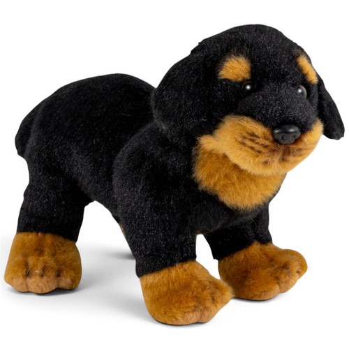 Rottweiler chien debout
