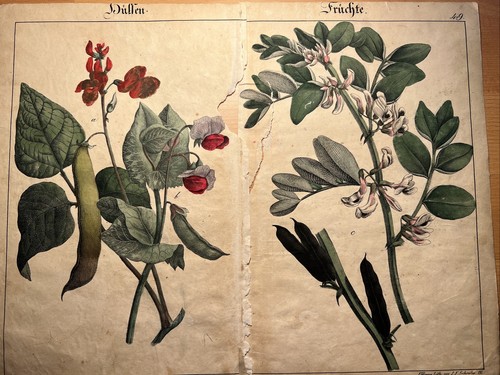 Lithographie ancienne 1838 - lithographie,