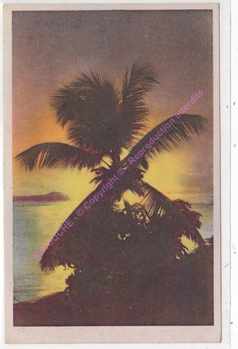Cpa 972 martinique coucher - cpa,