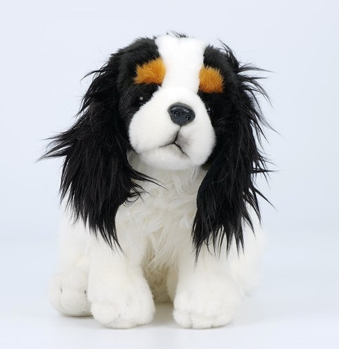 Cavalier king charles - cavalier,