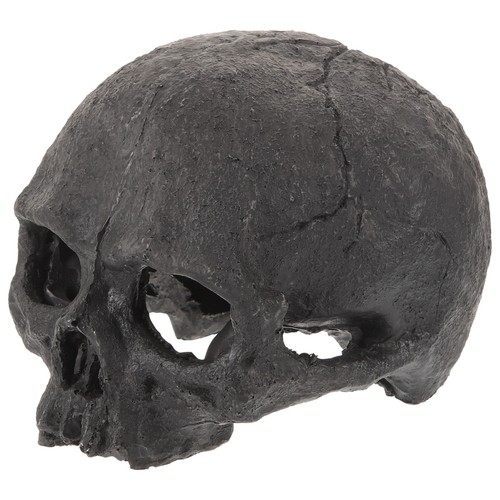 Fish tank skull hideout - tank,