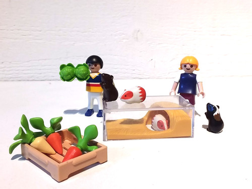 Playmobil animaux domestiques - playmobil,