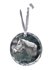 Haflinger Collier Avec Photo