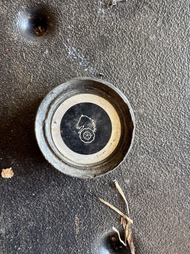 Oem steering center cap - center,
