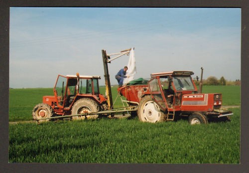 Landes gaulois - landes-le-gaulois, (41)