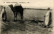 Old postcard AK ALGERIA Une Plough (874670)