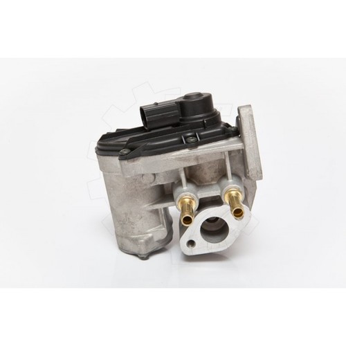 Egr valves for - valves, skoda