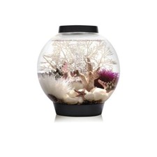 Oase biOrb aquarium CLASSIC 15 MCR noir