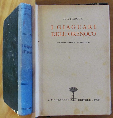 Motta giaguari dell orenoco - giaguari, dell'orenoco
