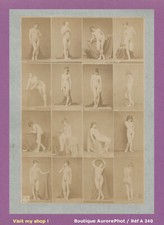 NUS ACADÉMIQUES FEMMES, NUDE