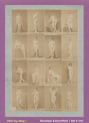 Nus académiques femmes - nus, nude