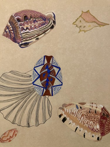 Peinture coquillage coquille - peinture,
