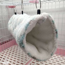  Cobaye Cochon D’inde Hamac