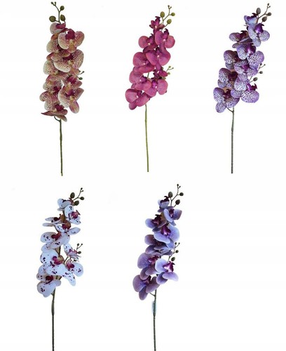Branche décorative fleur - branche, de