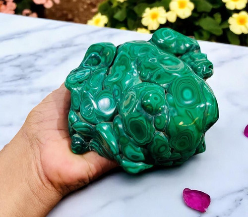 Malachite verte géante forme