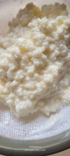 Grains kéfir lait - grains,