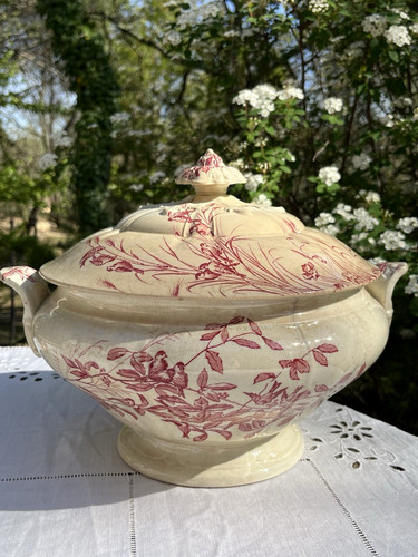 Soupière colibri c - soupière,