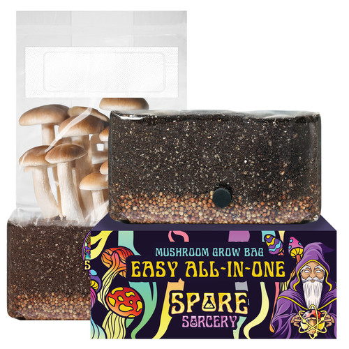 6lbs all one - 6lbs, mushroom
