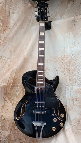 Guitare électrique ibanez - guitare,