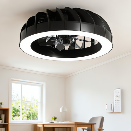 Ventilateur avec éclairage - ventilateur,