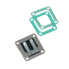 Clapet Polini Lamelle Carbone